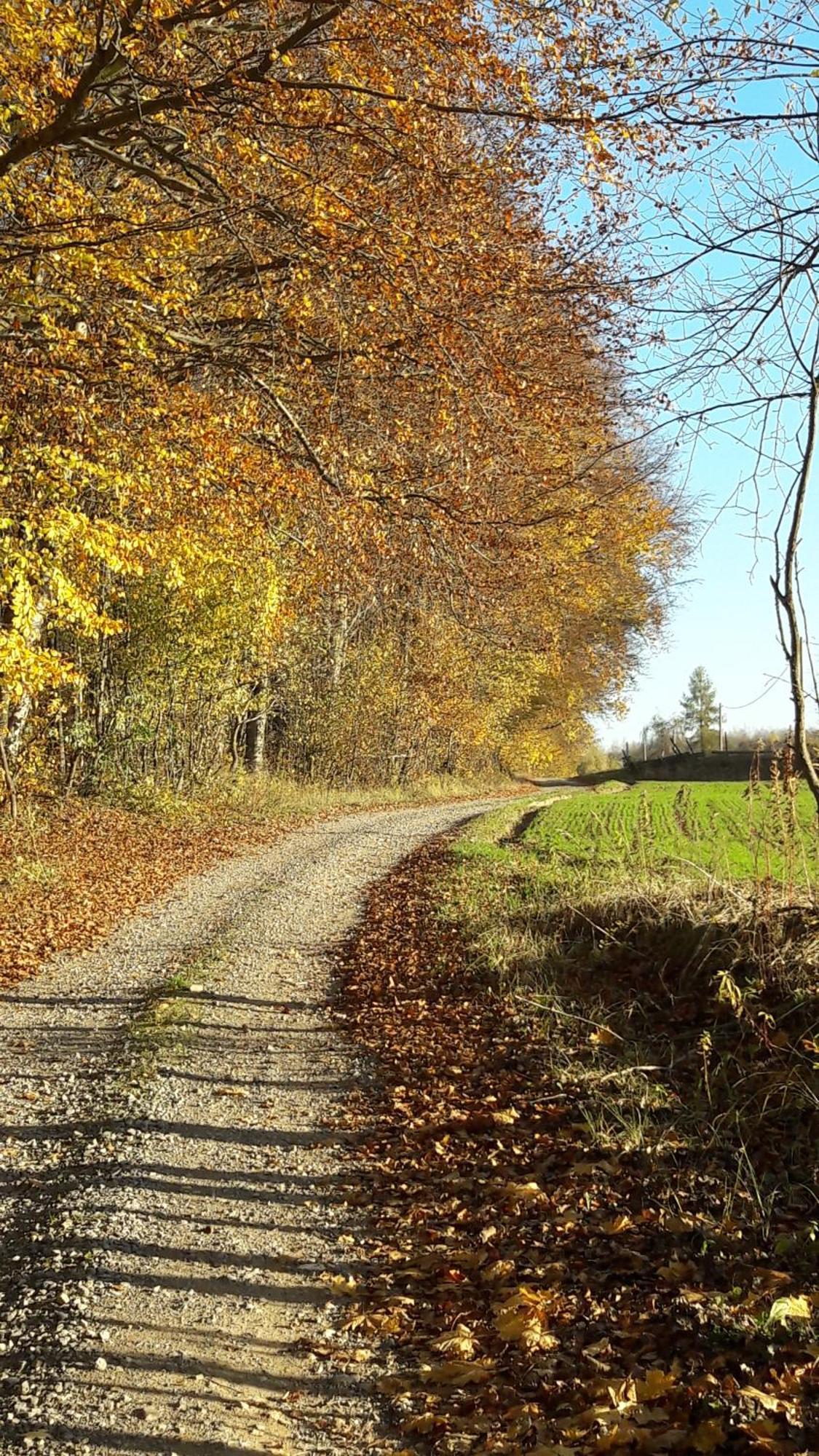 Chalet Czas Na Roztocze - Letniskowe Zamość