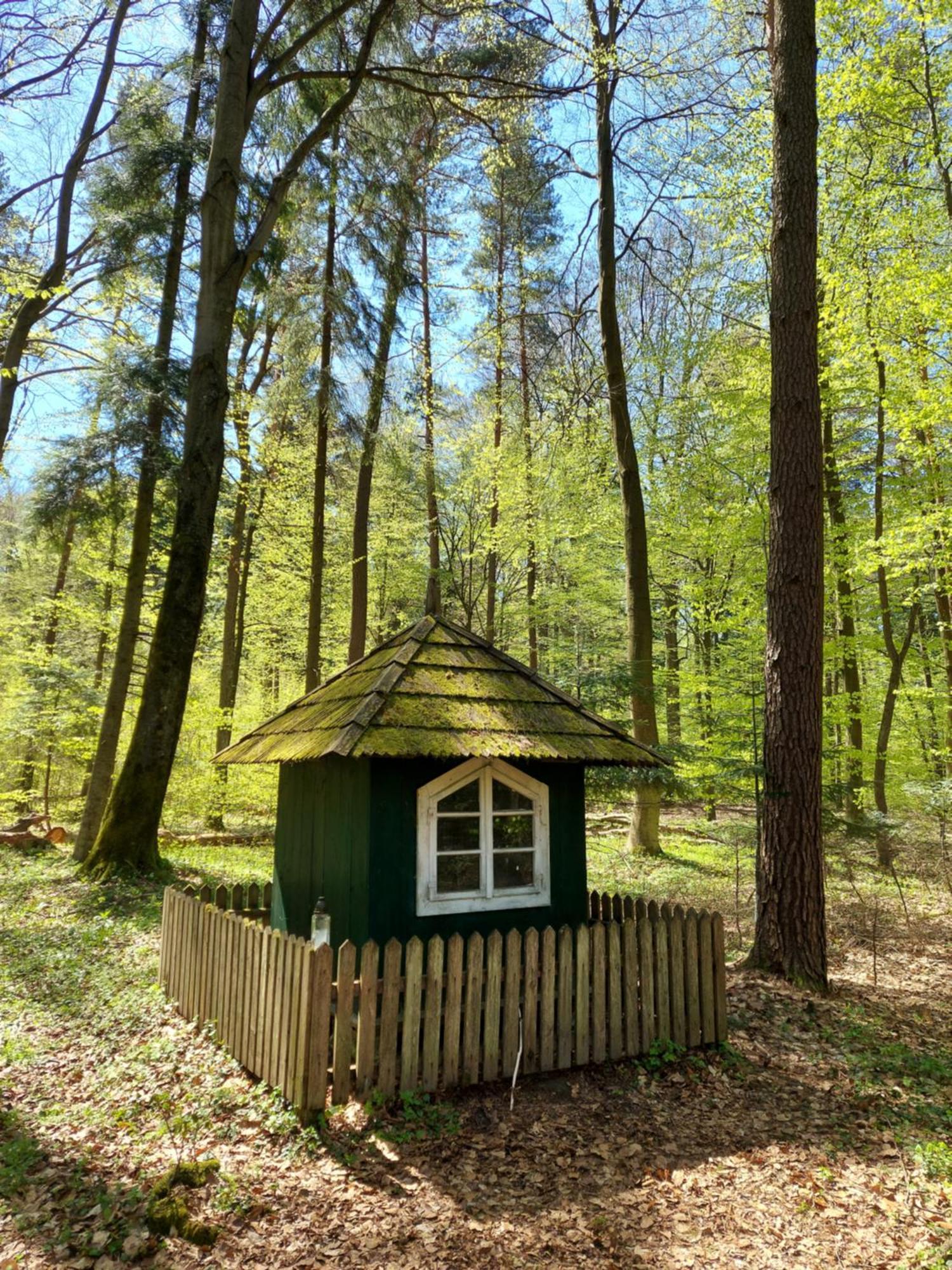 Czas Na Roztocze - Letniskowe